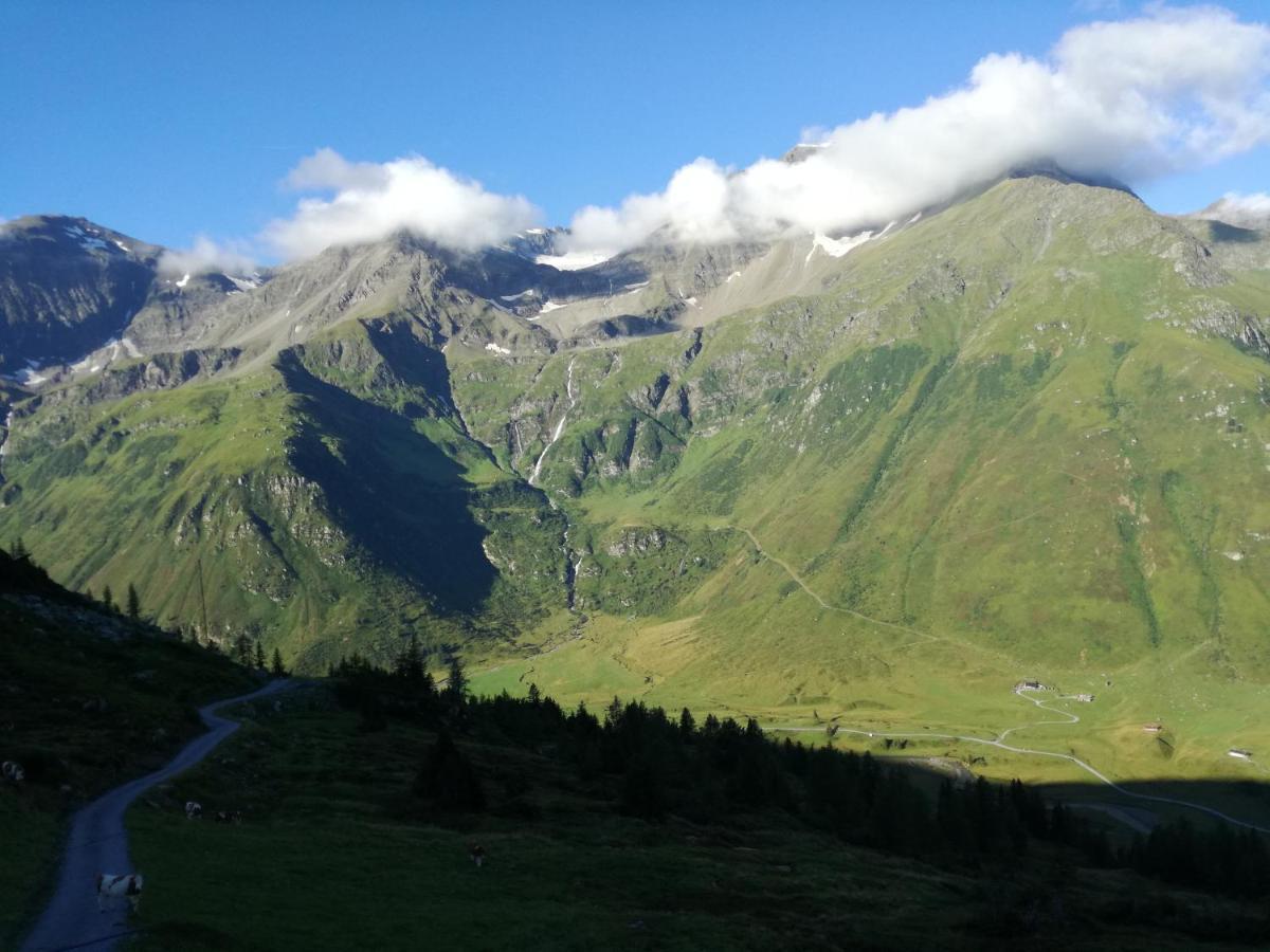Gaestehaus Schernthaner Dorfgastein Dış mekan fotoğraf